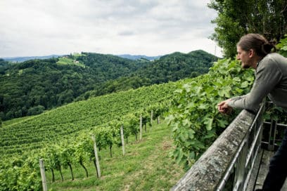 Reinhard mit Blick auf die Weingärten