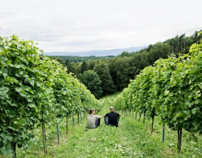 Reinhard und Josef sitzen in den grünen Weingärten im Juli