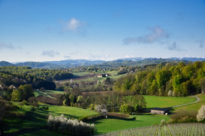 Aussicht von der Terrasse im Weingut Muster Gamlitz