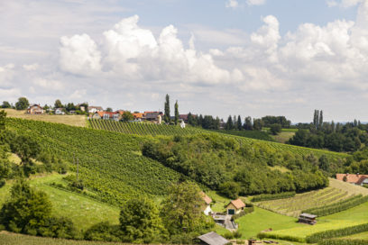 Weingut mit Weingärten